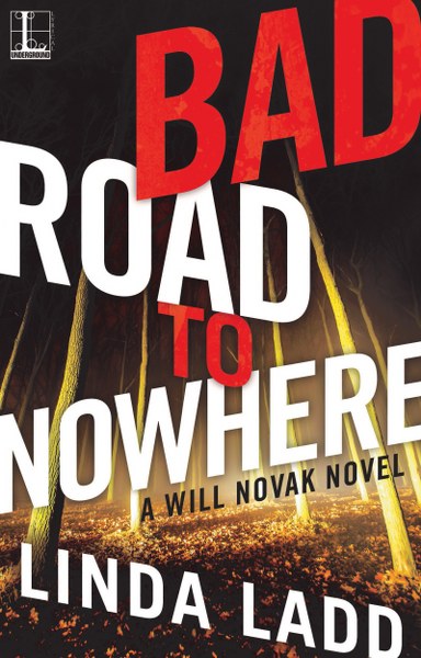 Book Cover for mystery thriller Bad Road to Nowhere from the Will Novak series by Linda Ladd.