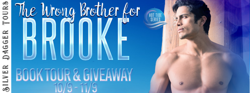 Book Tour Banner for The Wrong Brother for Brooke from the Hot Tide series by Michele DeWinton with a Book Tour Giveaway 